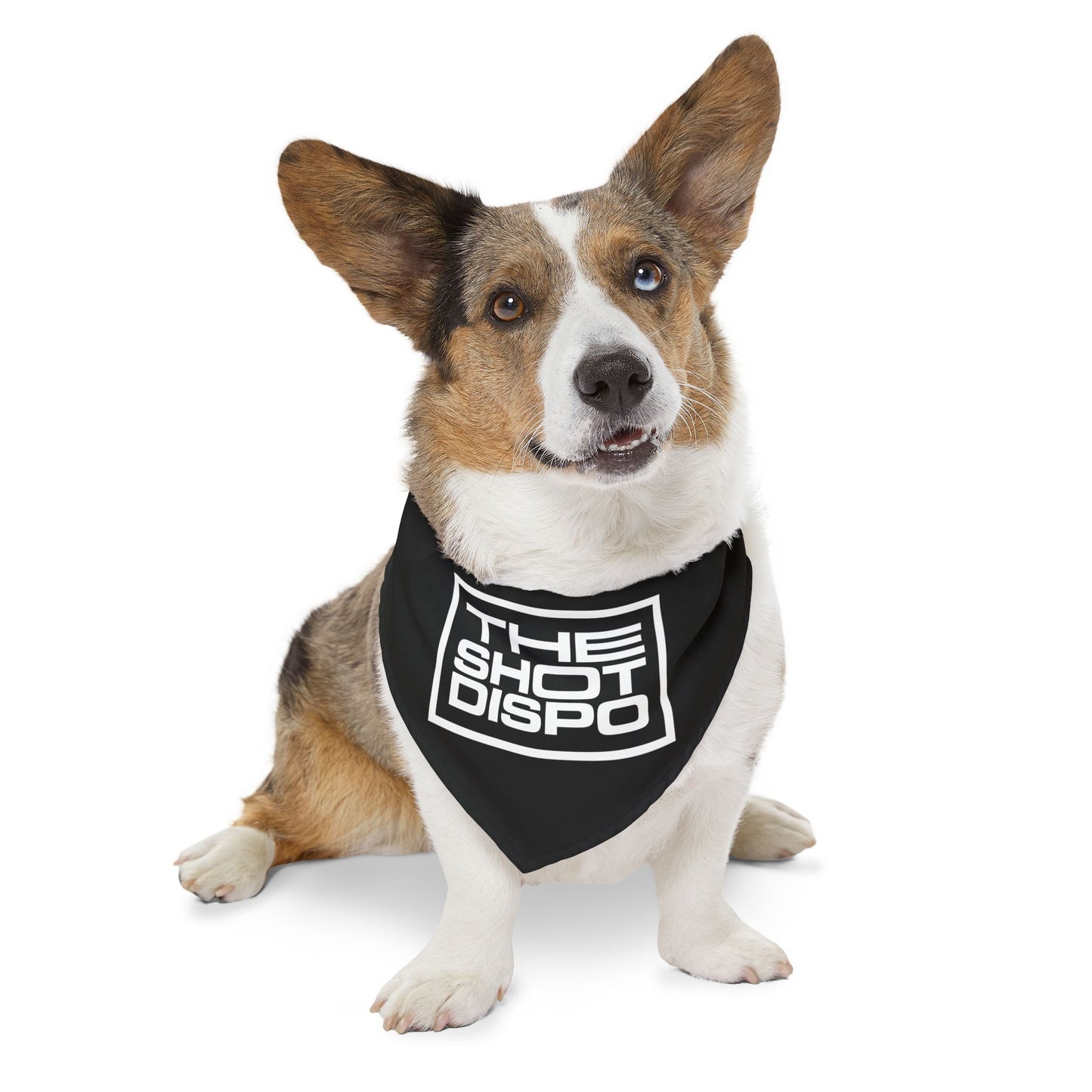 Pet Bandana Collar